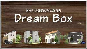 dreambox.jpg